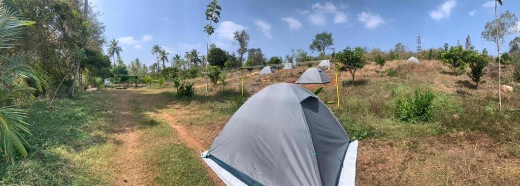 Hotel Wilderness Jungle Camp Malavalli Exterior foto