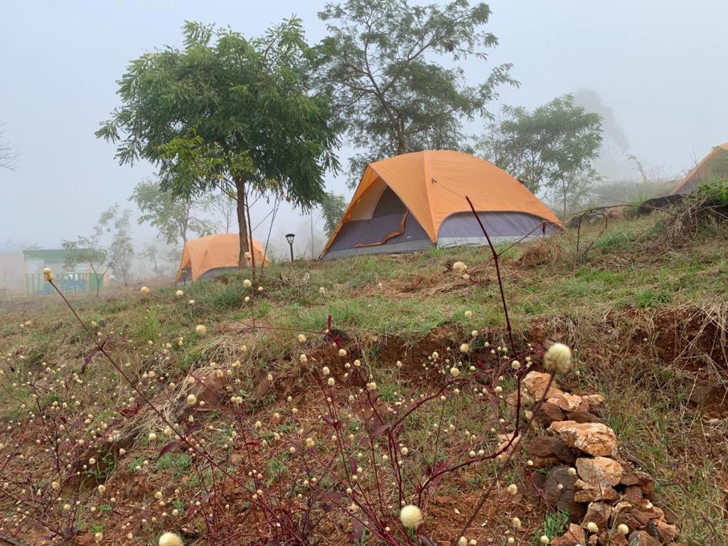 Hotel Wilderness Jungle Camp Malavalli Exterior foto