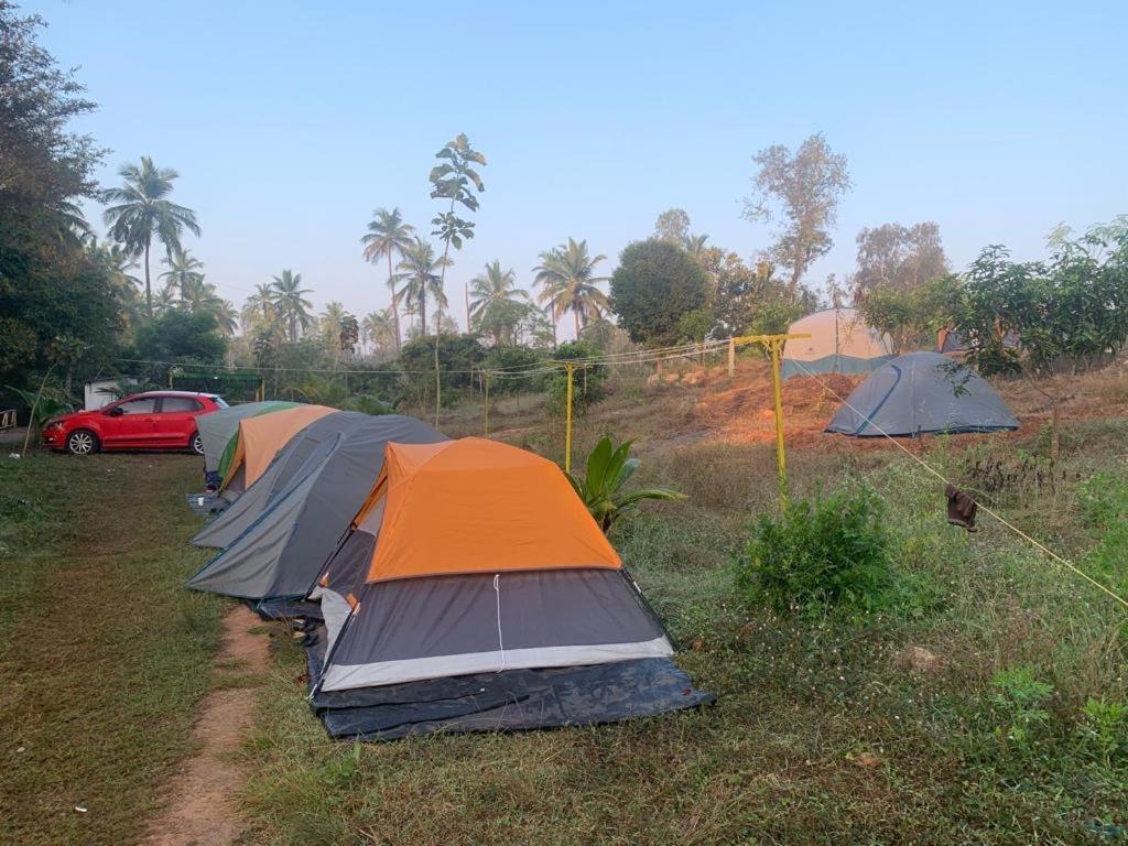 Hotel Wilderness Jungle Camp Malavalli Exterior foto